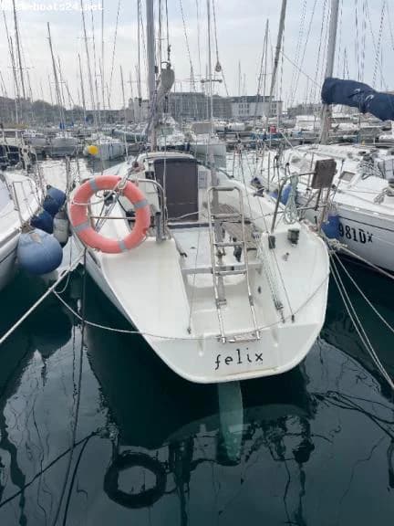 DEHLER DEHLER 31