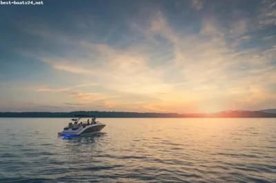 SEA RAY SDX 290 2024 2