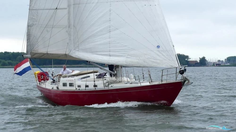 Rebel 41