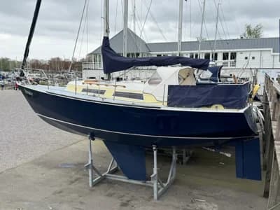 Koopmans 29 Alusail 4
