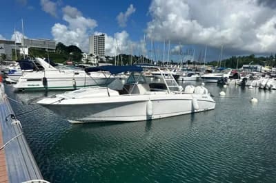 2007 Wellcraft 30 Scarab Sport | 30ft 2