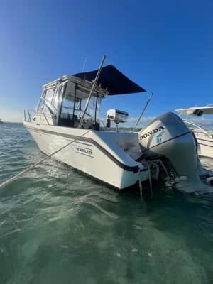1998 Boston Whaler 23 Conquest | 22.6 ft 2