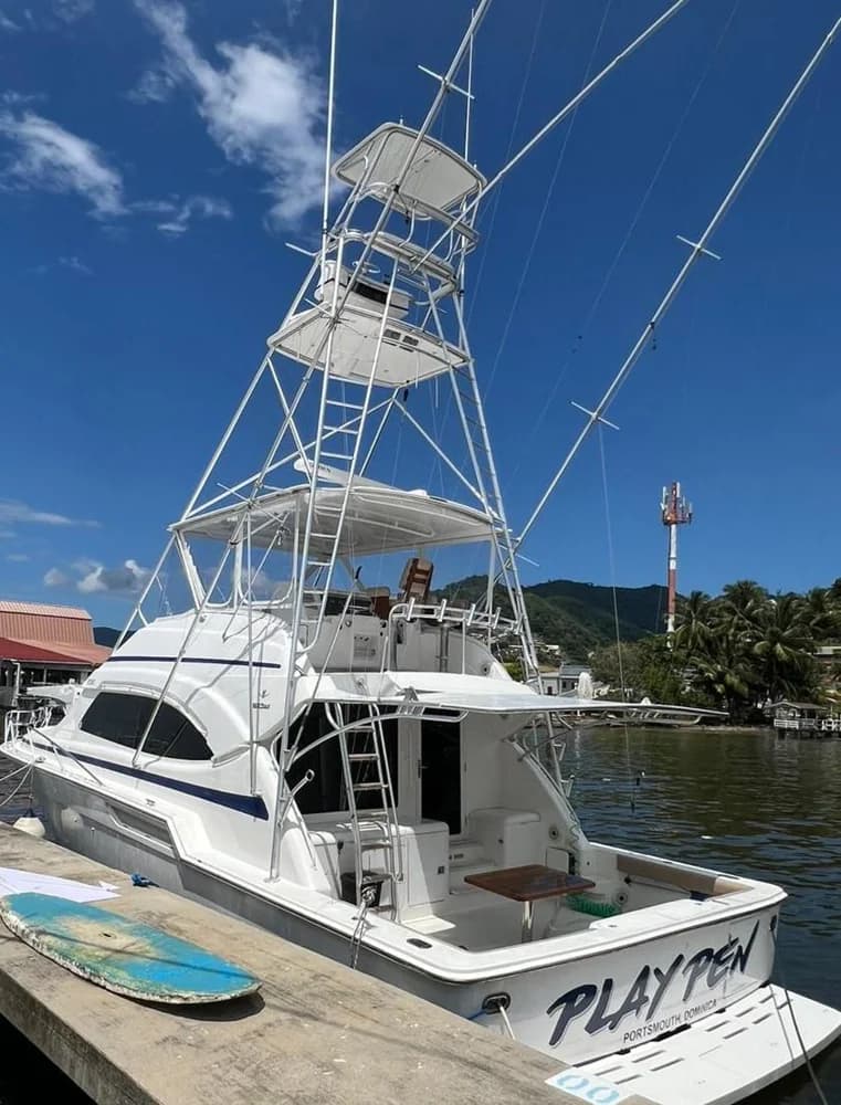 2001 Bertram 510 Convertible | 51 ft