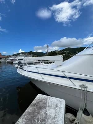 2001 Bertram 510 Convertible | 51 ft 2