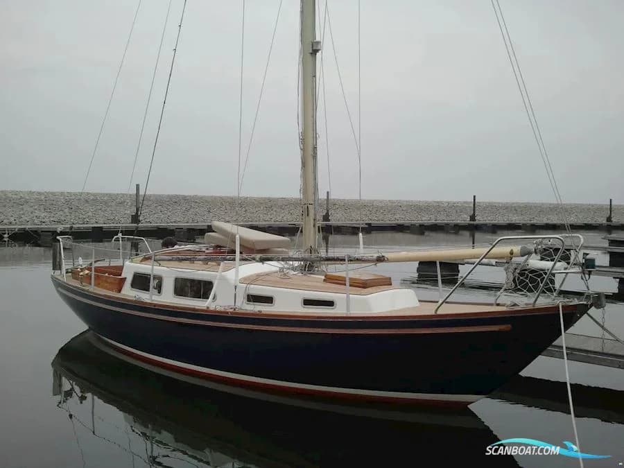 Great Dane 28