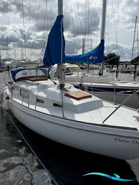 Great Dane 28
