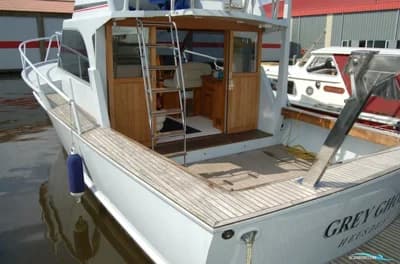Striker Sport Fisher 4
