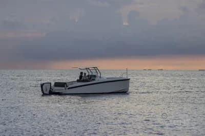Delta Powerboats T26 3