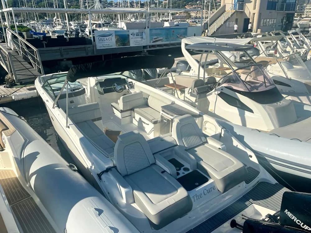Sea Ray SDX 290 HORS-BORD USA