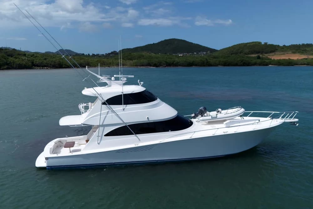 Viking 66