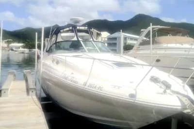Sea Ray Sundancer 320 2