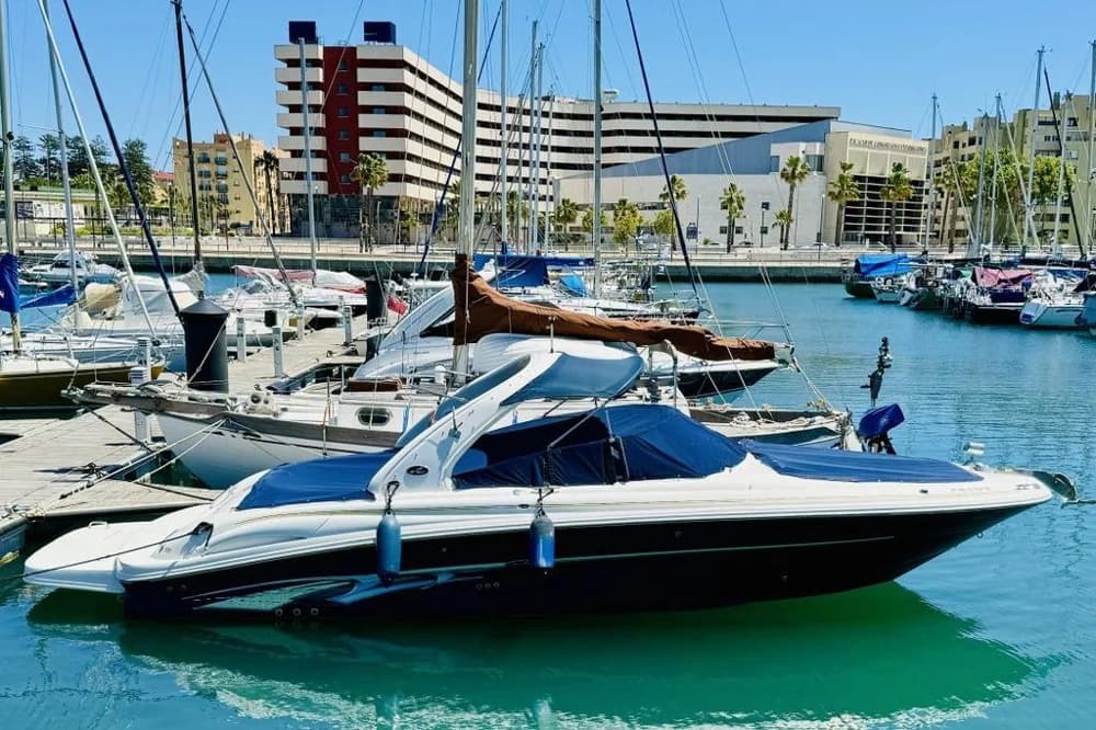 Sea Ray 290 Bowrider