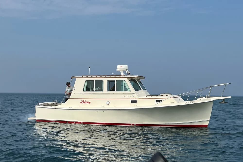 Blue Seas 31
