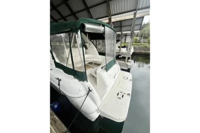 Sea Ray Sundancer 310 3