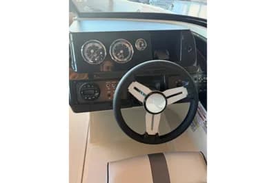 Bayliner V20 2