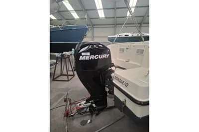 Quicksilver Quicksilver 505 Activ 3