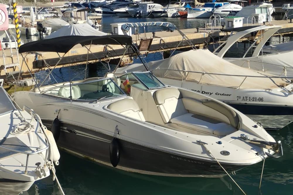 Sea Ray 260 Sundeck