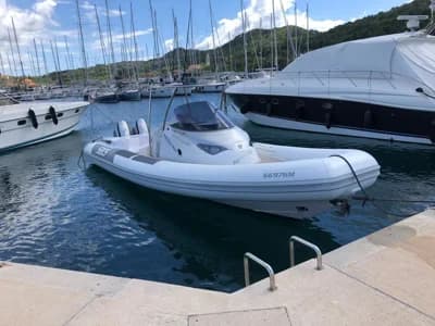 SACS Strider 11 2