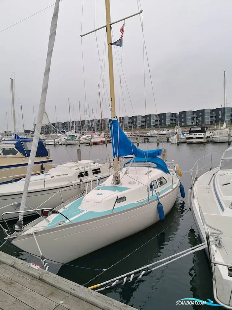 Kings Cruiser 29 Bud Ønskes