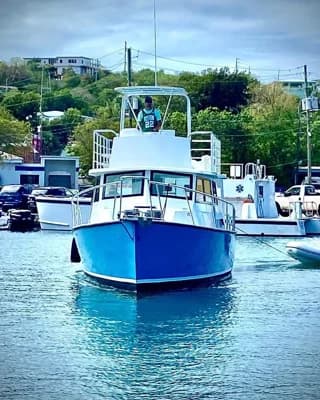 Lindsey Trawler 2