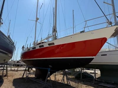 Wauquiez Amphitrite 2