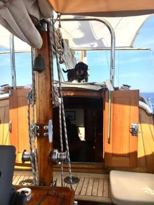 Ketch Bermudiano Oceanico 3