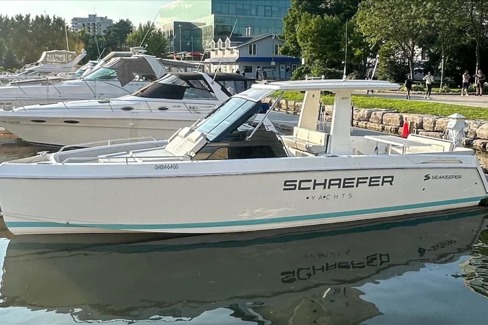 Schaefer V33