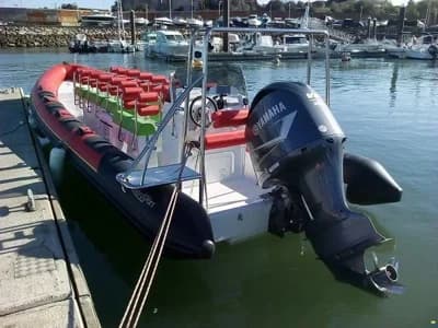 Hydrosport Performance RIBs 909 VFI 3