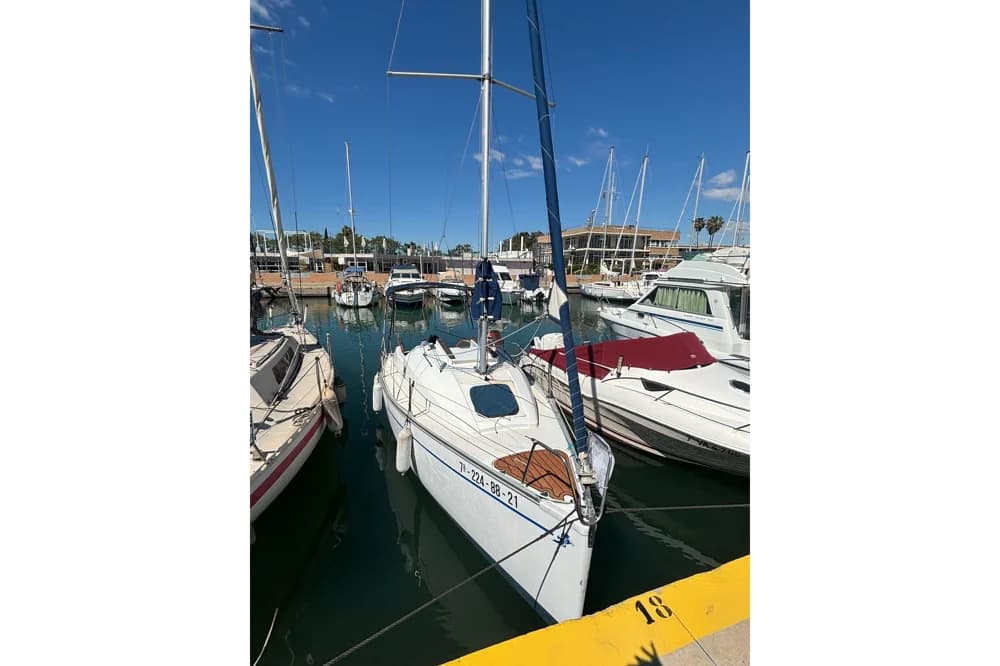 Tarsis 24