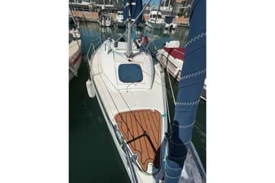 Tarsis 24 2