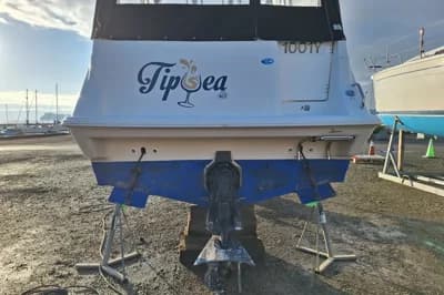 Bayliner 2655 Ciera Sunbridge 3