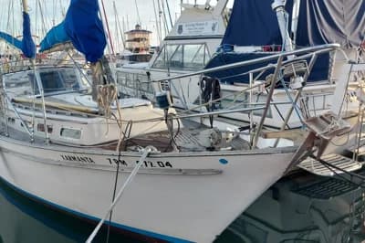 Trintella VICTORI 2
