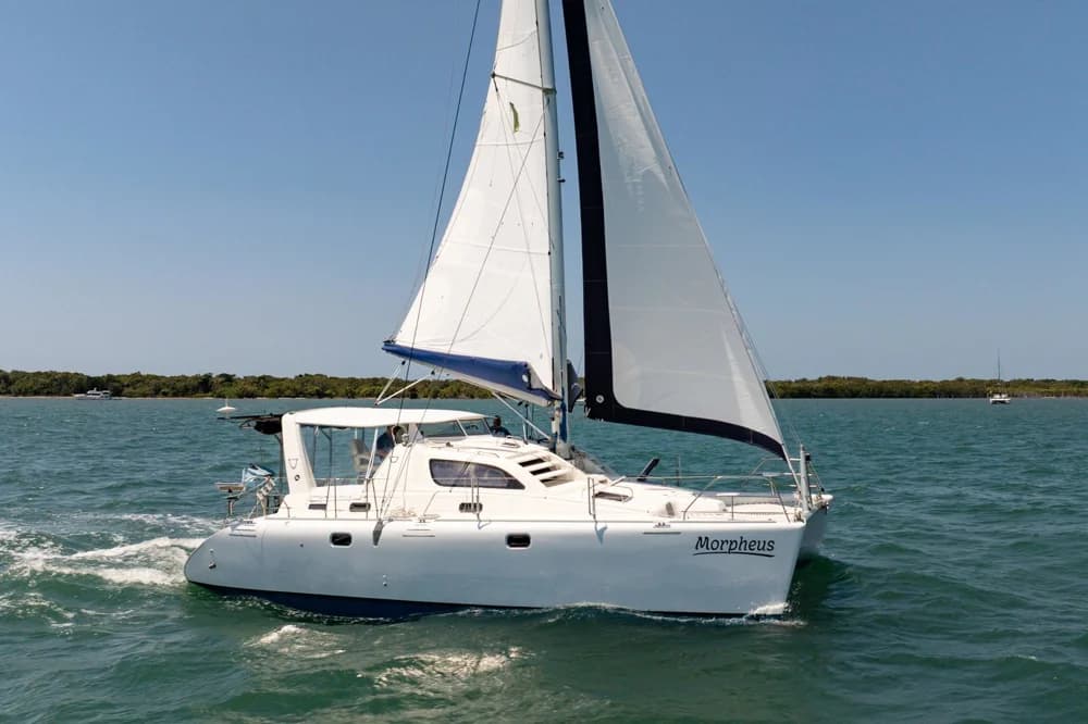 Leopard 38