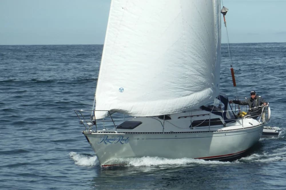 C&C 33