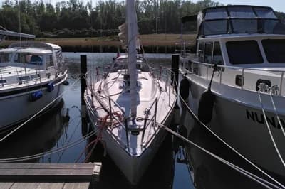 Luffe 37 2