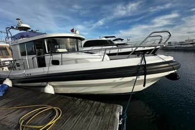 Paragon 31 2