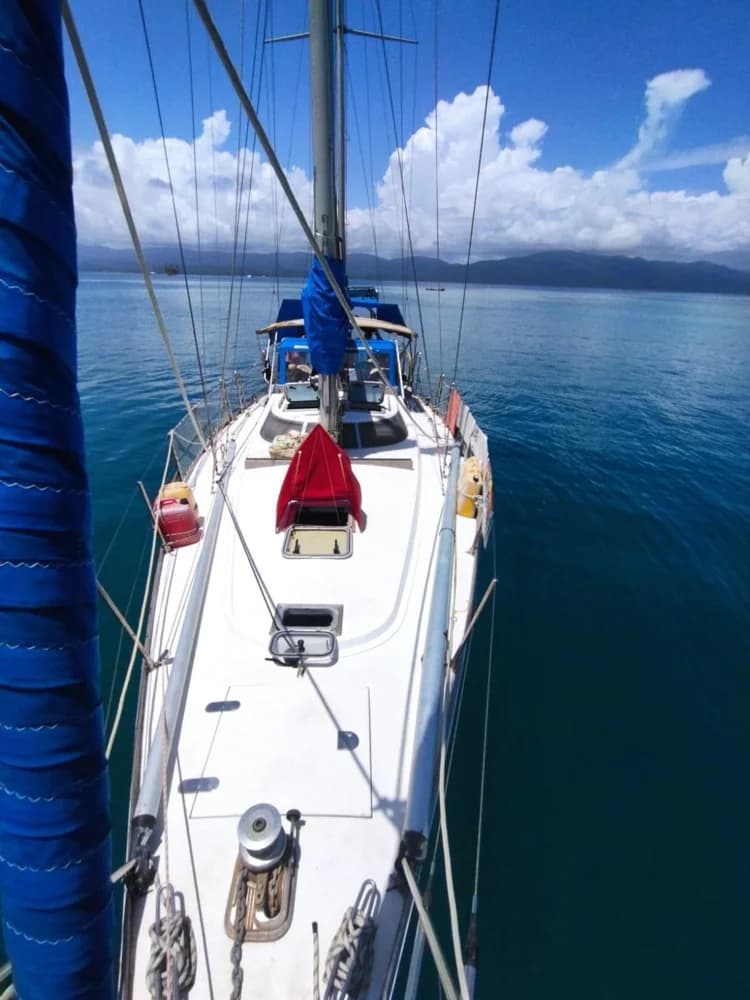 Franchini 47