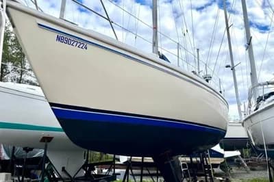 Catalina 36 2