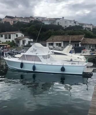 Bertram 31 2