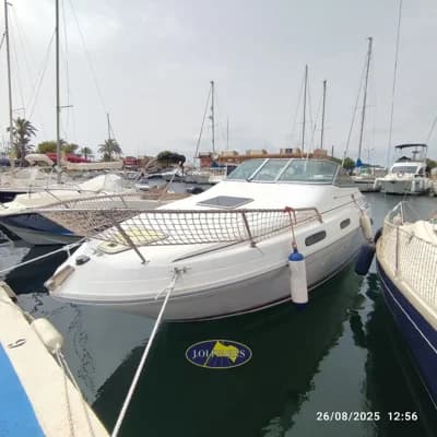 Sea Ray 230 Sundancer 2
