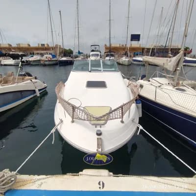 Sea Ray 230 Sundancer 3