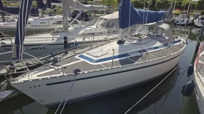 Dynamic 37 2