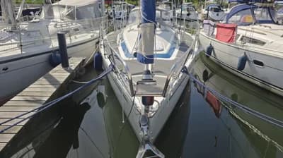 Dynamic 37 3