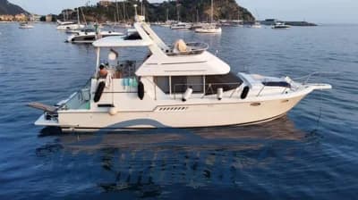 Carver Boat 400 2