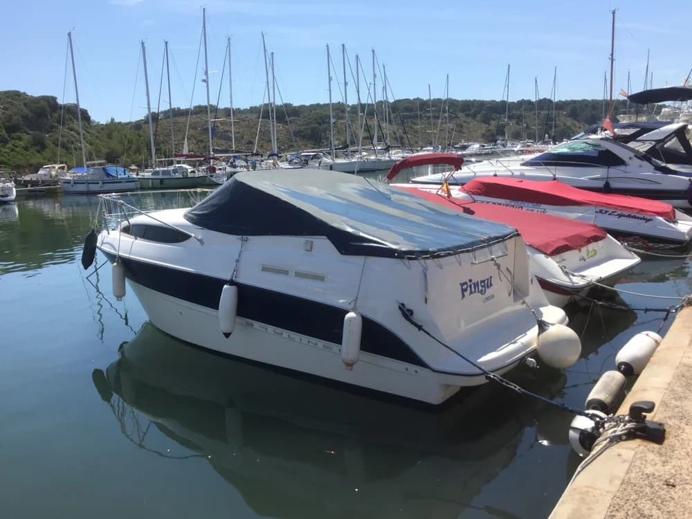 Bayliner 245