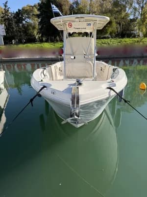 Proline 23 3