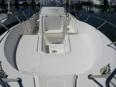 White Shark 226 2