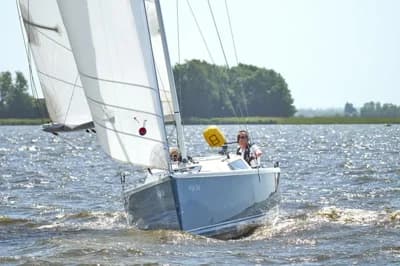 Pointer 25 2