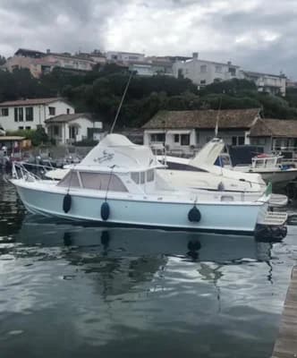 Bertram 31 SPECIAL EDITION 2