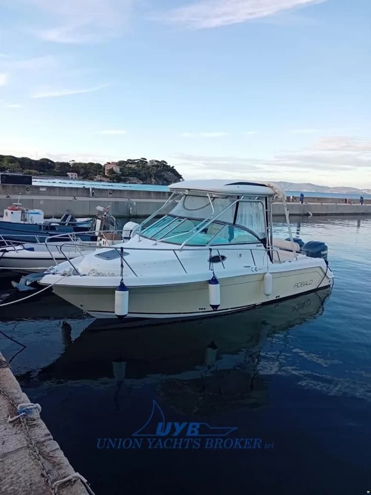Robalo R 265